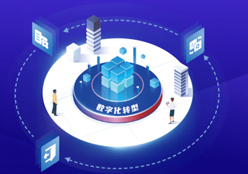我国战略管理专业人士门户网站